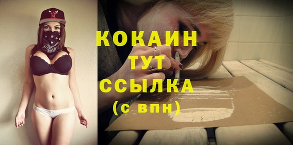 молекула духа Белокуриха
