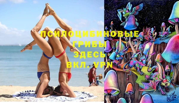 молекула духа Белокуриха