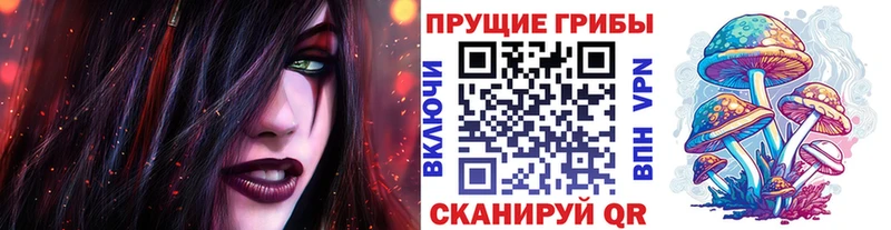 наркошоп  Гулькевичи  Псилоцибиновые грибы мицелий 